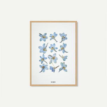 blu dauphinelle bleu herbier horti paris fleurs séchées cadre décoration herbarium made in france 