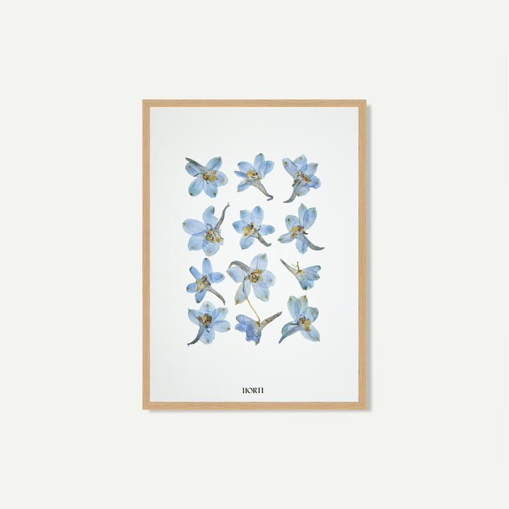 blu dauphinelle bleu herbier horti paris fleurs séchées cadre décoration herbarium made in france 