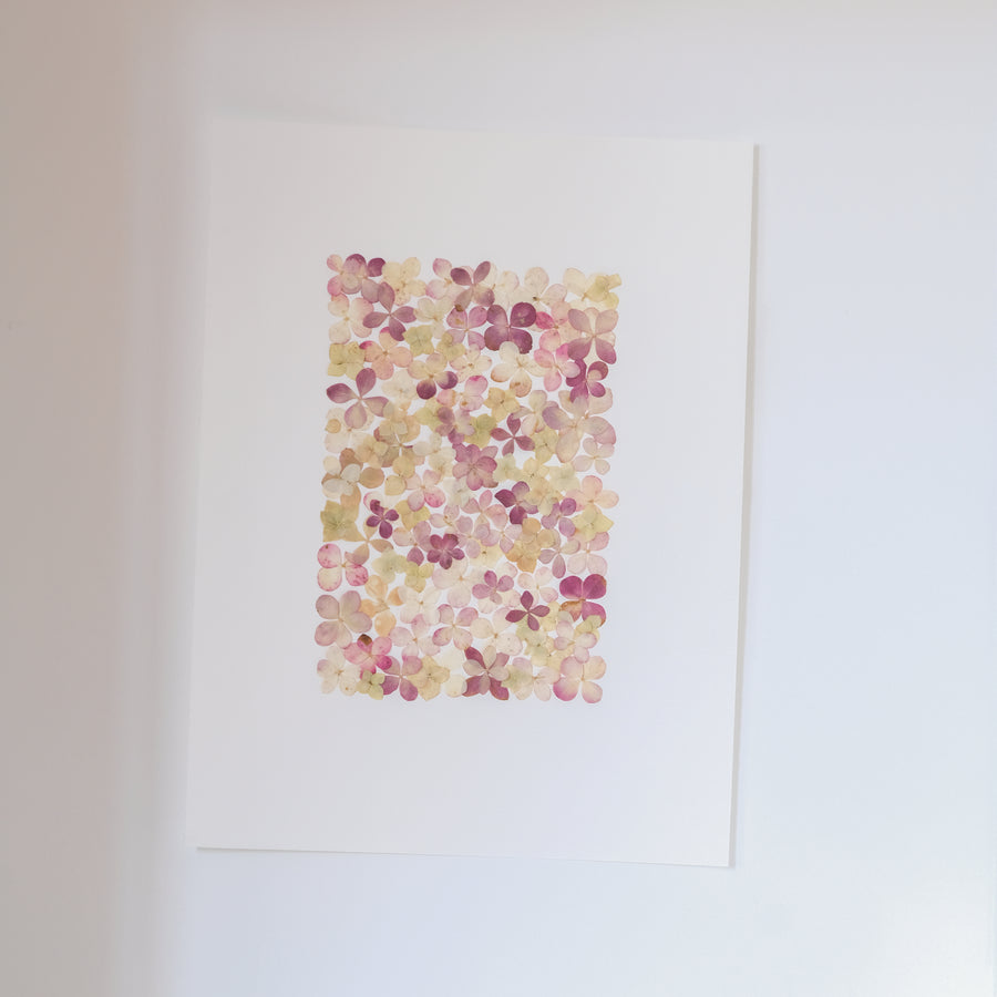 elfi hortensia herbier horti cadeau mariage naissance anniversaire paris fleurs séchées cadre décoration herbarium made in france 