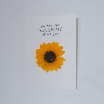 Sunshine