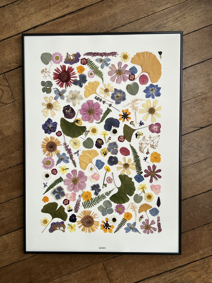 cadre herbiers herbier fleurs séchées pressées herbarium  france paris cadeaux  artisanat horti champetre tapis 