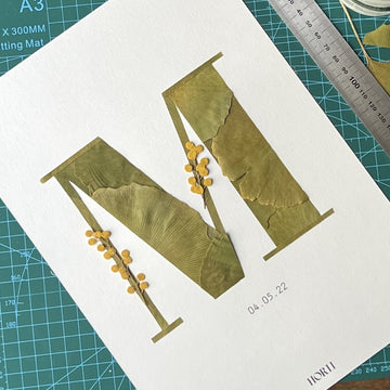 cadre herbiers herbier fleurs séchées pressées herbarium  france paris cadeaux  artisanat horti ginkgo mimosa m