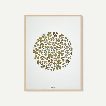 ego trefle herbier horti paris fleurs séchées cadre décoration herbarium made in france 