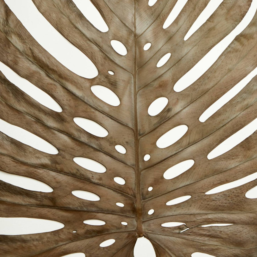 detail monstera herbier horti paris fleurs séchées cadre décoration herbarium made in france 
