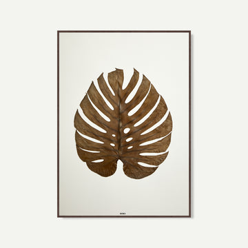 monstera herbier horti paris fleurs séchées cadre décoration herbarium made in france 