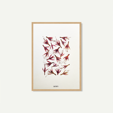 waso fuschia herbier horti paris fleurs séchées cadre décoration herbarium made in france